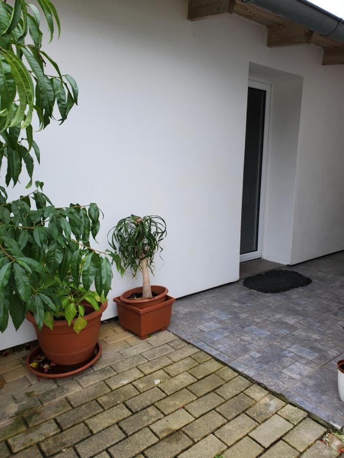 Apartman Stary Liskovec Appartement Brno Buitenkant foto